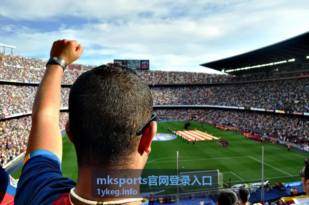 mksports官网登录入口访问步骤说明配图