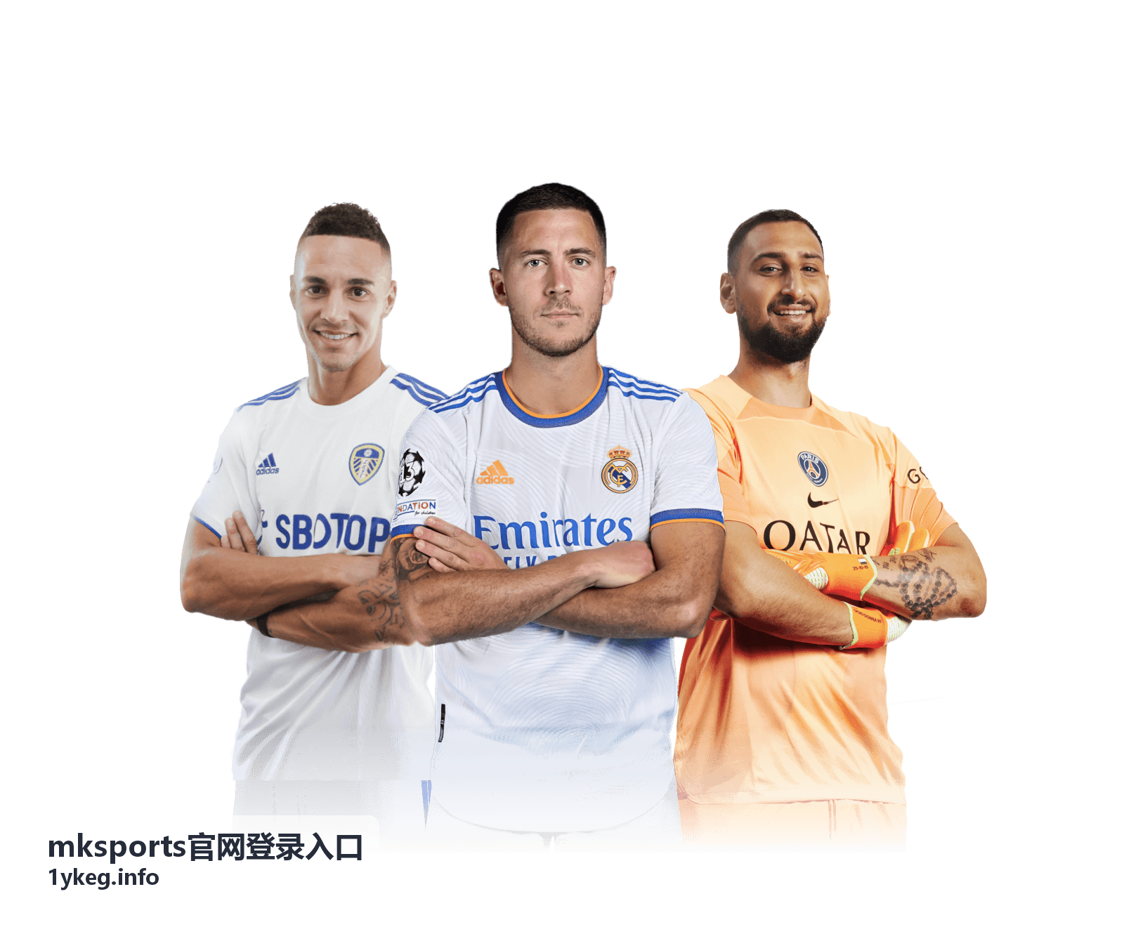 mksports官网登录入口密码找回流程示意图