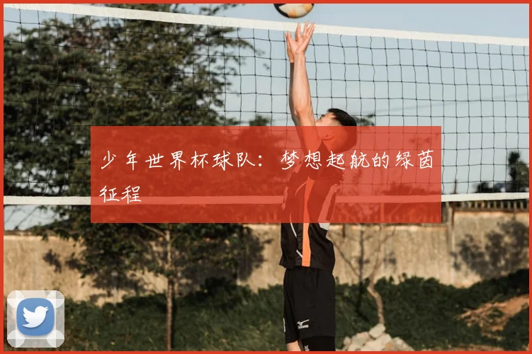 少年世界杯球队：梦想起航的绿茵征程