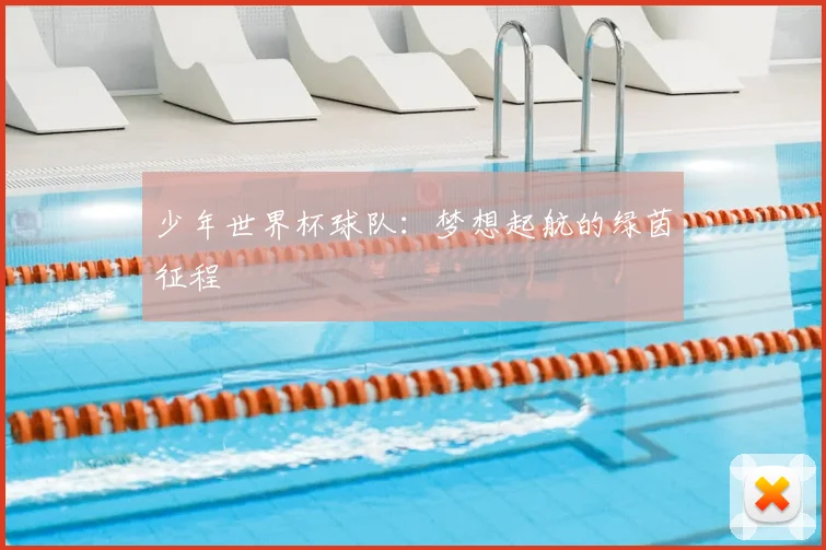 少年世界杯球队：梦想起航的绿茵征程