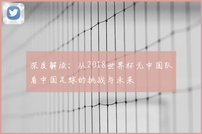 深度解读：从2018世界杯无中国队看中国足球的挑战与未来