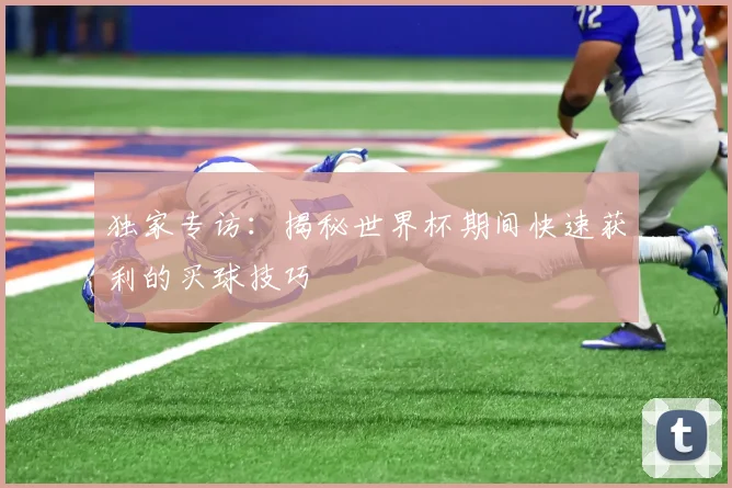独家专访：揭秘世界杯期间快速获利的买球技巧
