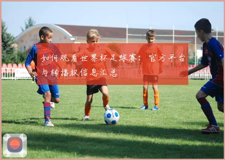 如何观看世界杯足球赛：官方平台与转播权信息汇总