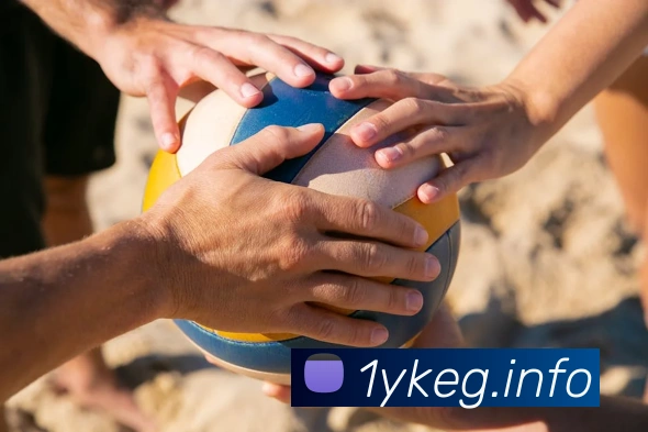 多媒体互动体验